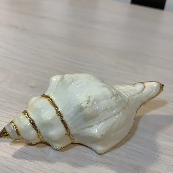 Vintage 1970s Real Shell Belt Buckle Ivory & Gold Nautical Coastal Beach Vibe - Picture 16 of 17